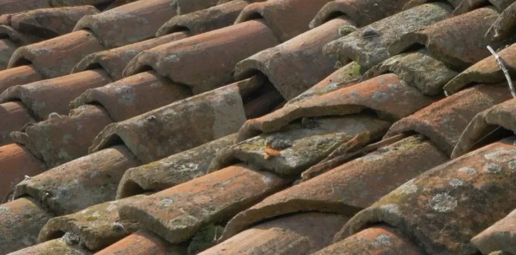 Tetti Torino. Pronto intervento per riparazione urgente del tetto a Torino per bloccare infiltrazioni d'acqua